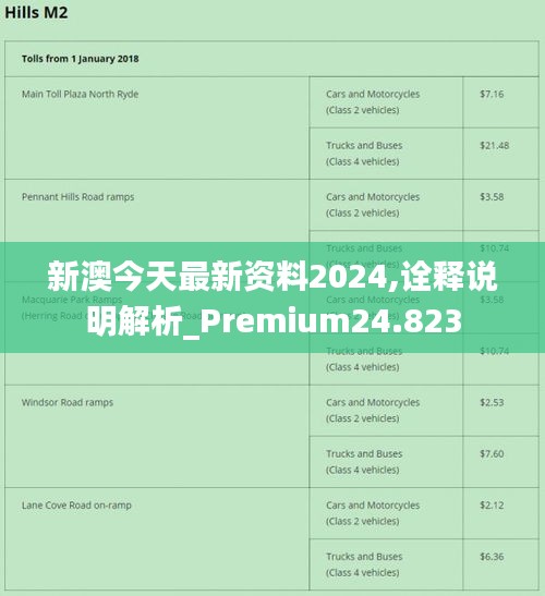 2024新澳正版挂牌之全篇,专业解答执行_RemixOS61.130