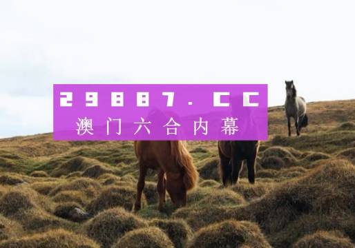 2024澳门历史开奖记录,平衡指导策略_经典版73.299