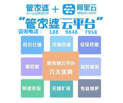 2025澳门管家婆资料,专业问题执行_Console94.742