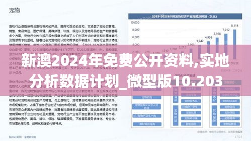 新澳2024年最新版资料,实效设计解析策略_进阶款38.354