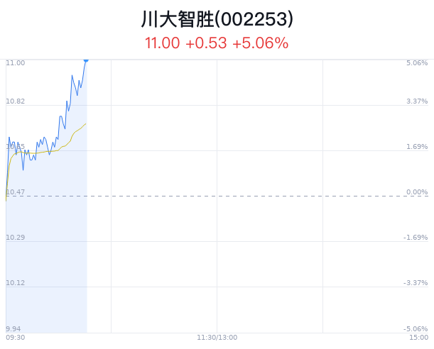 川大智胜资金流向全面解析