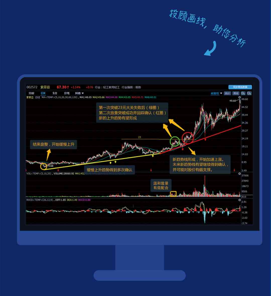 一肖一码中持一一肖一码,实地分析数据执行_投资版37.76