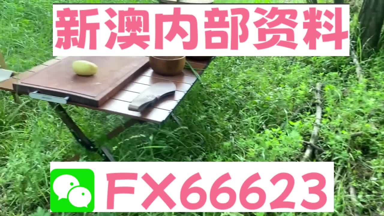 新澳精准内部码资料期期准,诠释说明解析_尊享款63.573