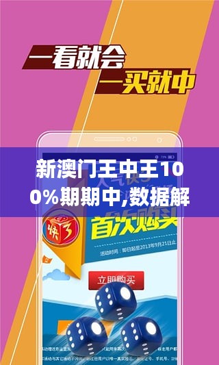 新澳门王中王100%期期中,定性分析解释定义_nShop28.97