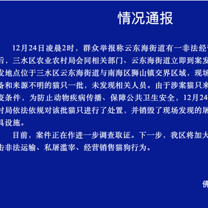 近百只猫水塘溺死事件真相与反思，官方通报引发社会关注与反思