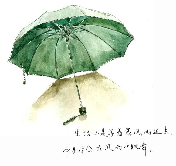 风雨洗礼中成长，人生的磨砺与自我超越之路