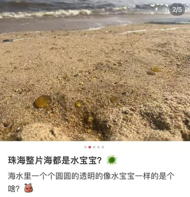 海边神秘爆爆珠现象揭秘，探索海洋新奥秘