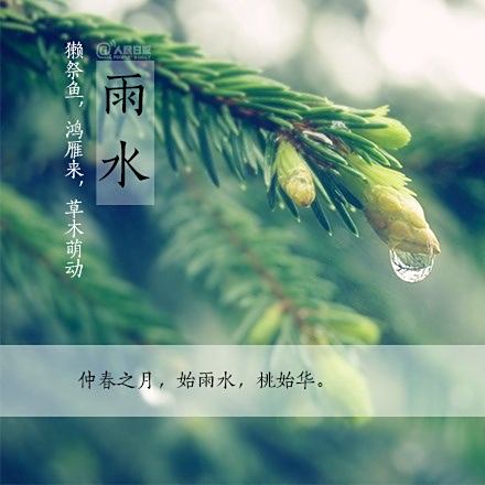 雨水的韵律，生命的节奏同步探索