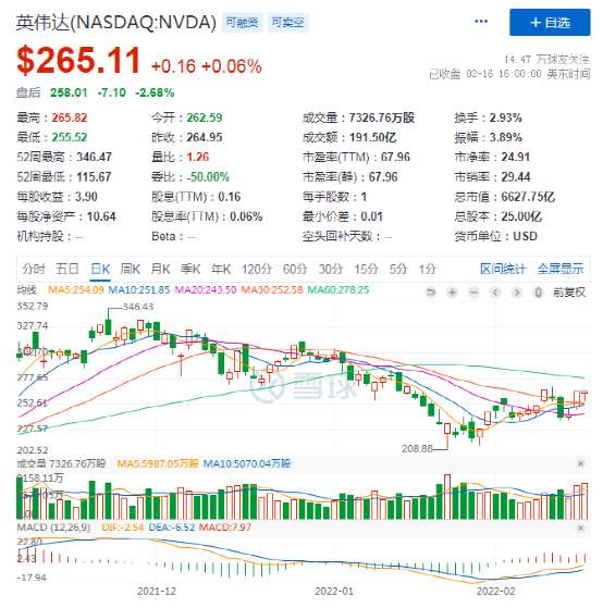 英伟达第四财季业绩与市场反应深度解析，业绩超预期与股价大跌的背后原因探讨